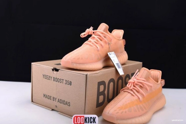350 Adidas GW2870 Boost Yeezy V2 